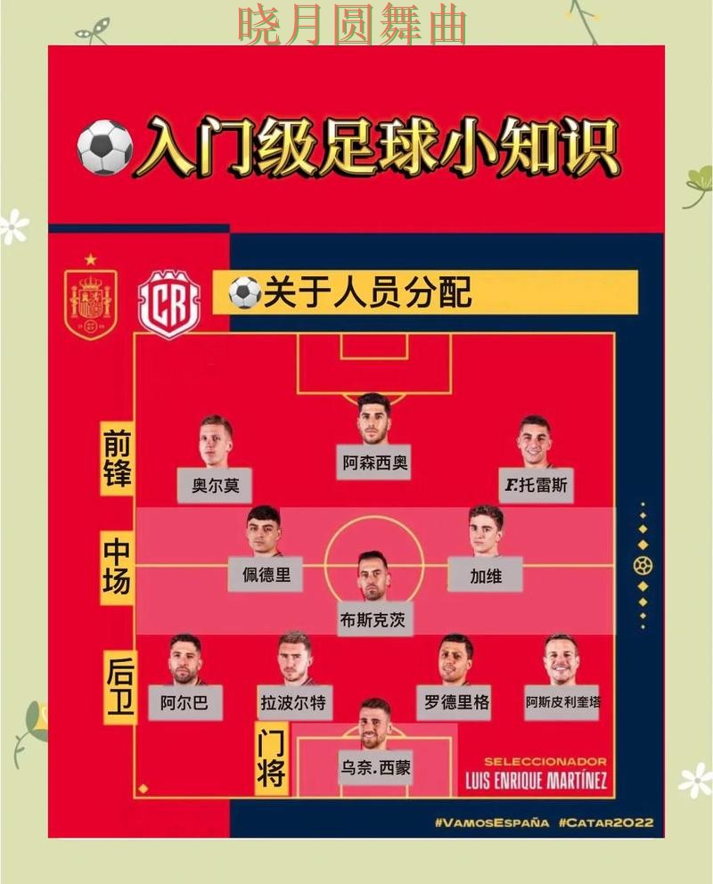 世界杯买球官网新手入门规则解析完整教学