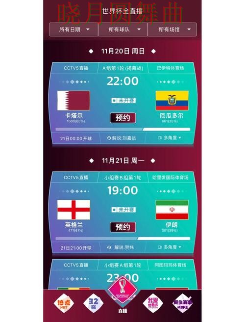 世界杯买球app入口在哪里查看实用指南