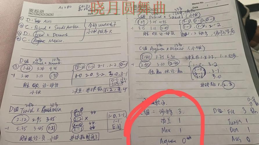世界杯投注官网高手都在关注哪些细节，实战思路参考