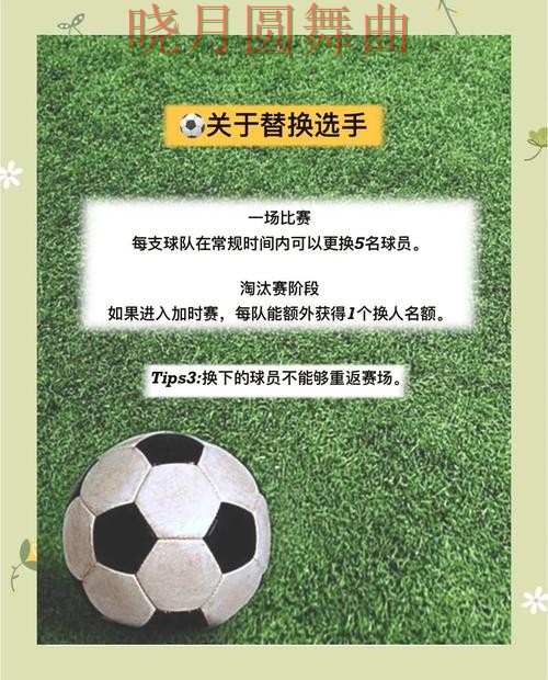 世界杯投注入口哪个好用更适合新手全攻略
